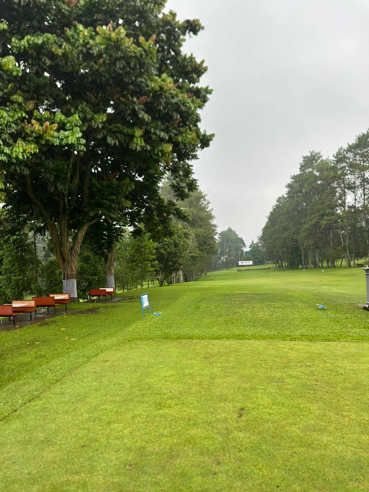 Elite Training